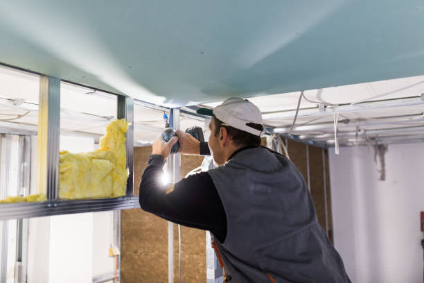 Best Residential Insulation in Russellville, AR
